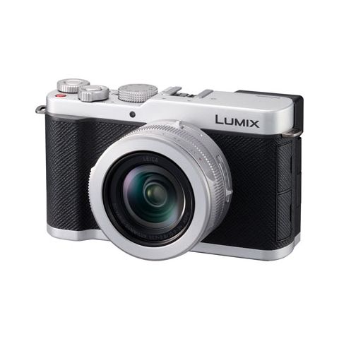 PANASONIC LUMIX DC-L10  ( SILVER )